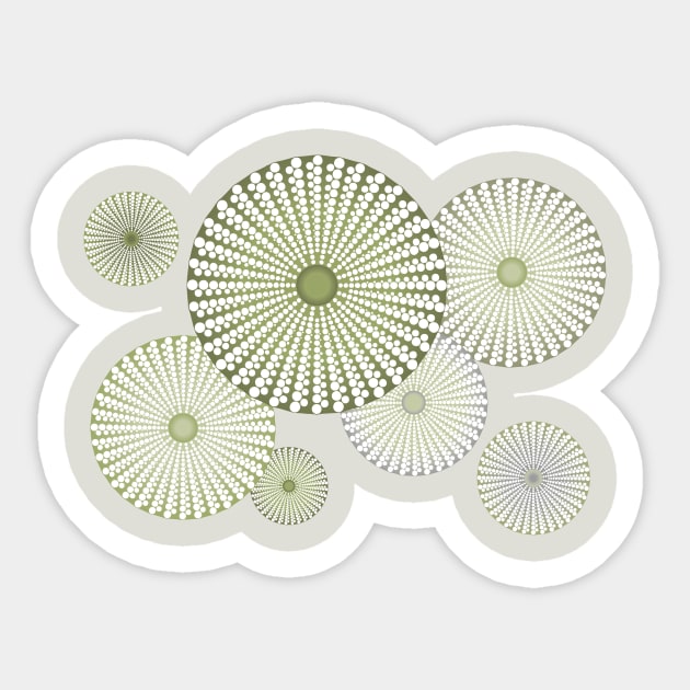 Sea Urchin | Kina | Abstract | Patterns in Nature | Sea Shells | Seashells | Sage Green | Sticker by Eclectic At Heart